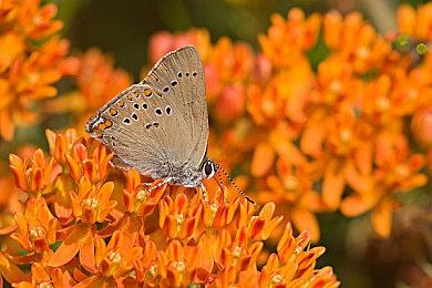 《木卫四协议》新实机演示 展示恐怖画面和战斗方式